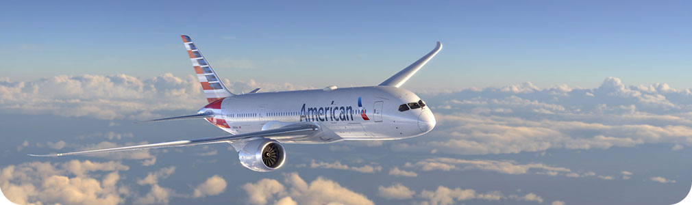 Supplier diversity - About us - American Airlines