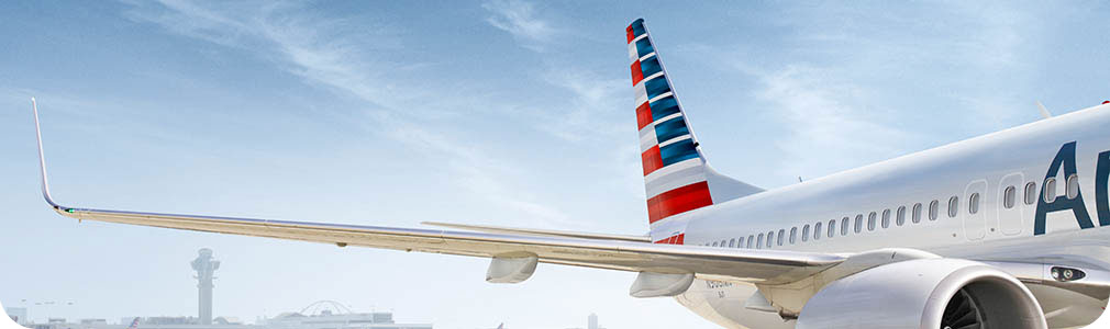 Travel experience − Travel information − American Airlines