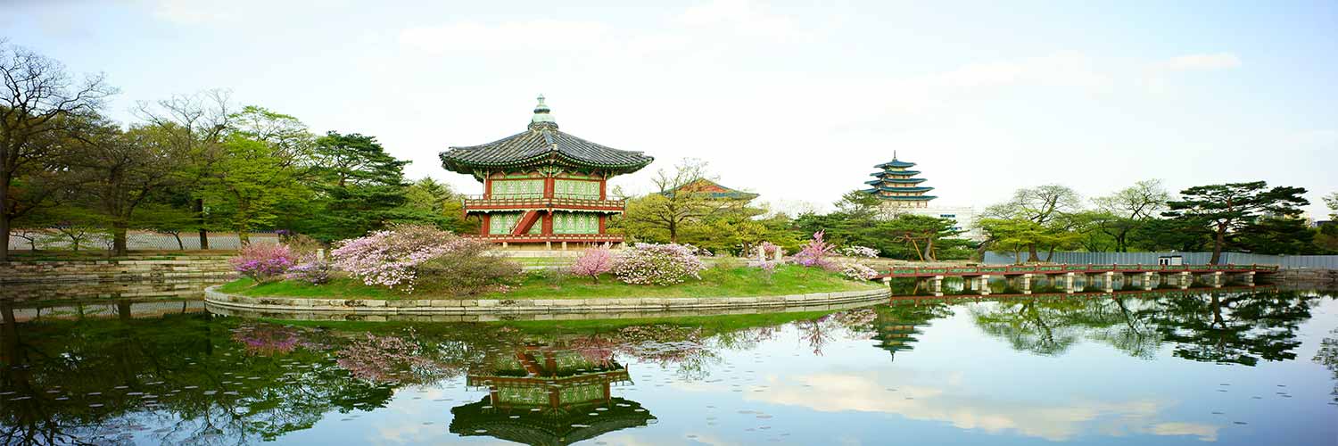 Vacations from New York to South Korea