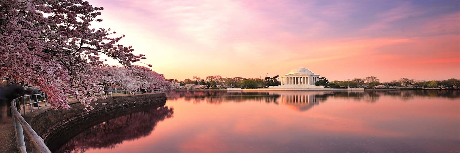 Flights from Miami to Washington with American Airlines