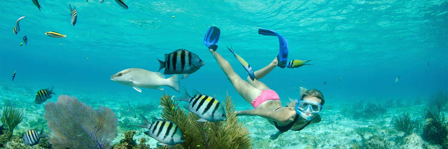 Flights from Miami to Grand Cayman with American Airlines