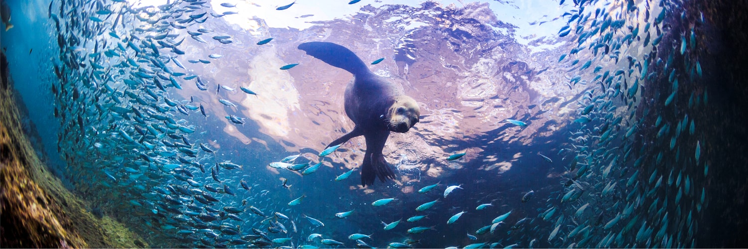 La Paz vacation packages