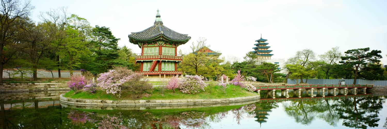 Reserve sus vuelos desde Corea del Sur – American Airlines